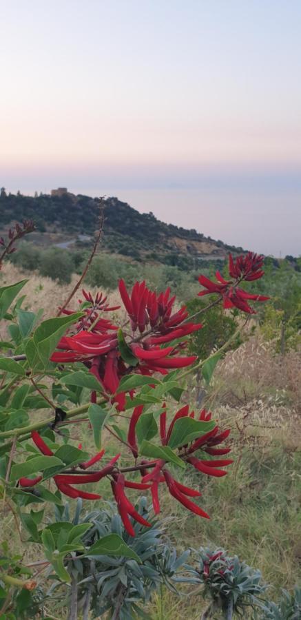 Terre Di Tusa Exterior foto